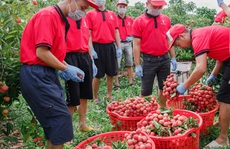Doanh nghiệp nội chặn đà sụt giảm xuất khẩu