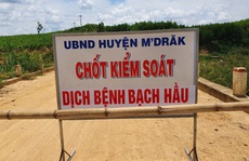 Thêm nhiều trường hợp mắc bạch hầu, Đắk Lắk cách ly hàng ngàn người dân