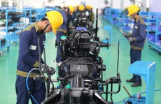 Thừa Thiên - Huế vực dậy ngành du lịch