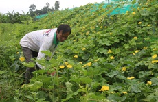 Nông dân miền Tây bắt tay làm 'người tử tế'