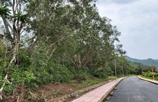 Chánh án TAND huyện Côn Đảo mắc sai phạm gì?