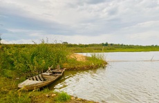 Cảnh báo tình trạng phân lô đất rừng, đất nông nghiệp làm du lịch dạng farmstay