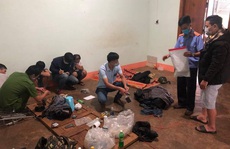 Khởi tố, tạm giam 7 đối tượng trộm chó chuyên nghiêp