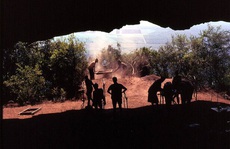 Phát hiện 'chốn chăn gối' xưa nhất thế giới, đầy sinh vật tuyệt chủng bao vây