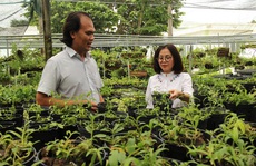 DẤN THÂN SÁNG TẠO (*): 'Bà đỡ' của doanh nghiệp trẻ