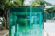 Những nhà vệ sinh công cộng độc đáo ở Nhật