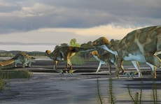 Mẩu hài cốt tiết lộ bí ẩn những 'quái thú' vĩ đại nhất thế giới