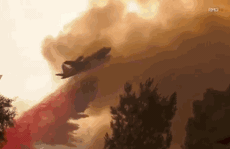 Cháy rừng đẩy bang California vào cảnh “ngàn cân treo sợi tóc”