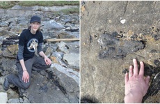 Chạy bộ thể dục, nữ tiến sĩ xinh đẹp 'đụng độ' quái vật 166 triệu tuổi