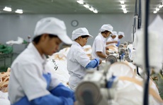 Lao động tại Hàn Quốc hết hạn được chuyển sang làm lao động thời vụ
