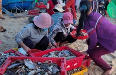 Có một Phú Yên như của ngày xưa