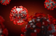 Phát hiện kháng thể 'vô hiệu hóa' virus gây đại dịch Covid-19