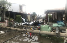 Hàng trăm cột điện gãy trong bão số 5: Do cây xanh ngã đè