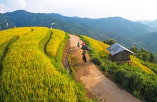 Mùa vàng Bắc Yên