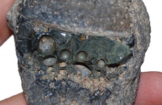 Sốc: Sản phẩm của thế kỷ 20 xuất hiện ở hầm mộ, di tích Ba Tư 1.000 năm