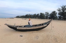 Rừng dự án chết do... thời tiết