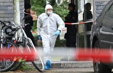 Đức: Người mẹ trẻ giết 5 con nhỏ rồi lao vào tàu tự tử