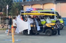 Bị cá mập cắn, 6 người nhào ra cứu không kịp