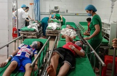 Chọc phá tổ ong trong trường, 16 học sinh nhập viện cấp cứu