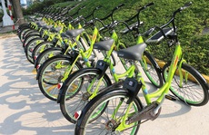 Đề xuất cho Công ty Trí Nam triển khai xe đạp công cộng ở trung tâm TP HCM
