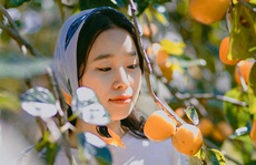 Yêu bao lâu thì cưới?