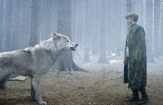 Phát hiện choáng váng từ hóa thạch 4.000 'ma sói' kỷ băng hà