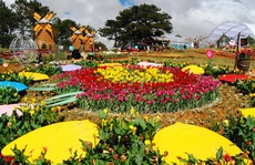 Có gì đặc sắc ở lễ hội hoa 'kỷ lục' hơn 120 triệu Euro tại Quảng Bình?
