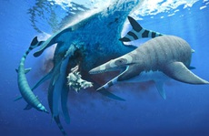 Sinh vật chưa từng thấy trên thế giới: khủng long 'trá hình' cá mập