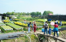 Sức mạnh trong nguy nan