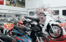 CLIP: Công an cảnh báo thủ đoạn trộm đột nhập cửa hàng xe máy