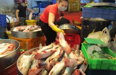 Việt Nam quan ngại vì Brazil ra quy định “làm khó” cá tra, tôm