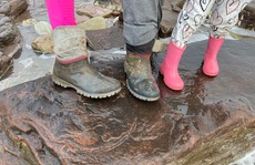 Dạo biển, bé gái 4 tuổi phát hiện 'báu vật' 220 triệu năm