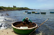 Quảng Ngãi: Chấm dứt hiệu lực thực hiện nghiên cứu, khảo sát gần 300 dự án khu dân cư, đô thị