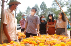 Chủ tịch tỉnh Đồng Tháp kêu gọi mua hoa kiểng ủng hộ người dân