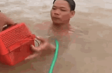 VIDEO: Sướng với cảnh dùng tay không bắt tôm, cá khủng trên sông Hậu