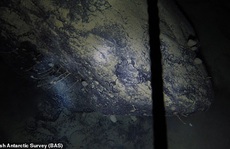 Sốc: Sinh vật lạ dưới 'mộ băng' 900 mét, sống không cần thức ăn, ánh sáng