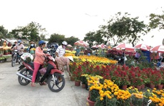 Mùa hoa Tết ở TP HCM không còn hét giá, bán đổ bán tháo