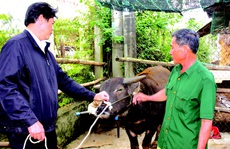 40 năm với… “đầu cơ nghiệp”