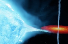 'Quái vật Thiên Nga' bằng 60 Mặt Trời hóa lỗ đen, nuốt đồng loại