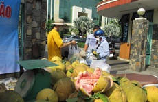 Người dân TP HCM giải cứu bưởi đào đặc sản giá 15.000 đồng/kg