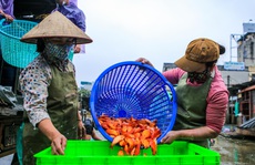 CLIP: Dịch Covid-19, chợ cá lớn nhất Hà Nội vẫn đỏ rực trước ngày cúng ông Công, ông Táo