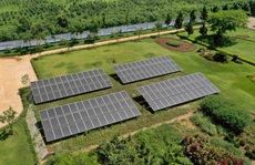 Năng lượng mặt trời được triển khai trên toàn bộ hệ thống trang trại Vinamilk