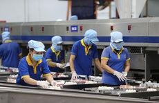 Tổng điều tra kinh tế năm 2021 từ ngày 1-3