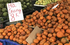 Cam sành đặc sản giá siêu rẻ 8.000 đồng/kg, tiểu thương tiết lộ sự thật