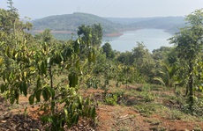 Chuyên gia bất động sản nói gì về cơn sốt đất ảo ở Bình Phước?