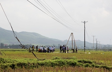 Hai người đàn ông gặt lúa bị điện 35 kV giật chết trên cánh đồng