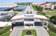 Cần tập trung hỗ trợ doanh nghiệp tư nhân