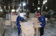 Thách thức mới của ngành gỗ