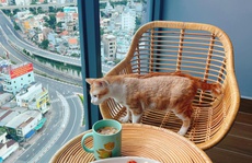 Nên chi bao nhiêu tiền cho việc thuê nhà?