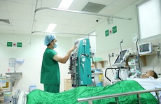 Bị đàn ong làm tổ trên mái nhà tấn công, gia đình 5 người nhập viện cấp cứu